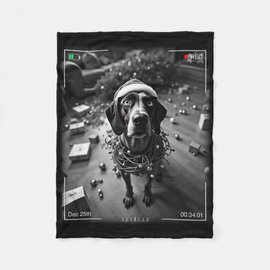 Duitse kortharige kerstwijzer gevangen op cam fleece deken (Voorkant)