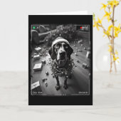 Duitse kortharige kerstwijzer gevangen op cam kaart (Gele Bloem)