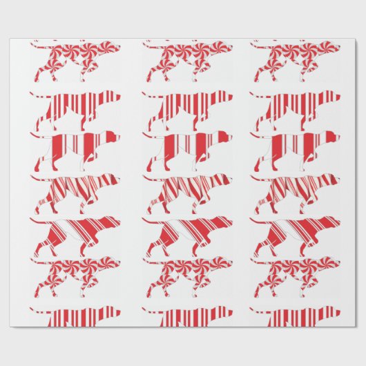 DUITSE KORTHARIGE POINTER - Cadeauverpakking, SAP- Cadeaupapier (Vlak)