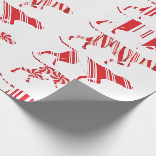 DUITSE KORTHARIGE POINTER - Cadeauverpakking, SAP- Cadeaupapier (Hoek)