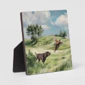 Duitse kortharige pointer die naar een fazant wijs fotoplaat (Voorkant)