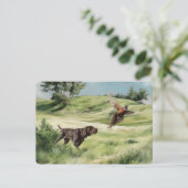 Duitse kortharige pointer die naar een fazant wijs kaart (Staand voorkant)