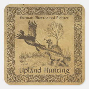 Duitse kortharige pointer, hoogland jacht vierkante sticker