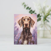 Duitse kortharige pointer in Lavendel veld Briefkaart (Staand voorkant)