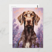 Duitse kortharige pointer in Lavendel veld Briefkaart (Voorkant / Achterkant)
