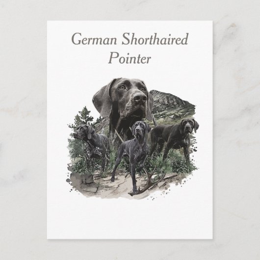 Duitse kortharige pointer liefhebbers briefkaart (Voorkant)