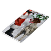 Duitse kortharige pointer met Kerstmis Magneet (Linkerzijde)