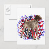 Duitse kortharige pointer patriot briefkaart (Voorkant / Achterkant)