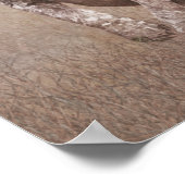 Duitse kortharige pointer puppy poster (Hoek)