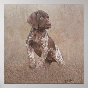 Duitse kortharige pointer puppy poster