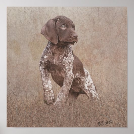 Duitse kortharige pointer puppy poster (Voorkant)