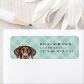 Duitse kortharige pointer retour adreslabels etiket (Insitu)