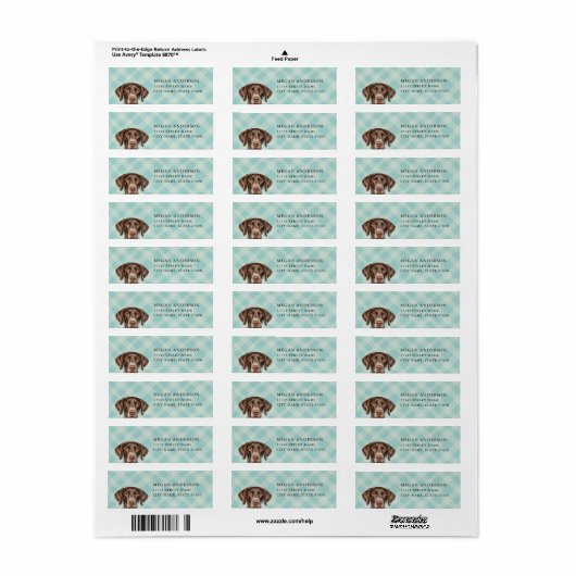 Duitse kortharige pointer retour adreslabels etiket (Full Sheet)