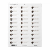 Duitse kortharige pointer retour adreslabels etiket (Full Sheet)