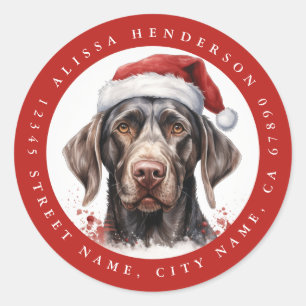 Duitse kortharige pointer ronde Stickers