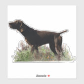 Duitse kortharige pointer sticker (Vel)