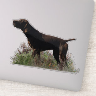 Duitse kortharige pointer sticker