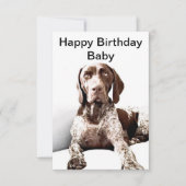 Duitse Kortharige Pointer Verjaardag Kaart (Voorkant)