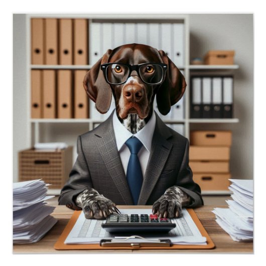 Duitse Kortharige Pointer werkende Accountant Perfect Poster (Voorkant)
