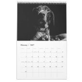 Duitse kortharige wijzer 2024 kalender SAP hond (Feb 2027)