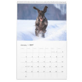 Duitse kortharige wijzer 2024 kalender SAP hond (Jan 2027)