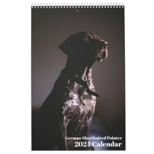 Duitse kortharige wijzer 2024 kalender SAP hond (Hoes)