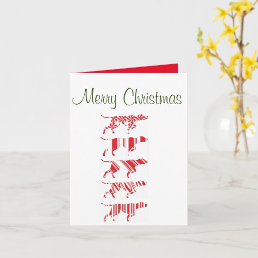 DUITSE KORTHARIGE WIJZER - KERST KAART - GSP (Gele Bloem)