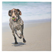 Duitse Kortharige Wijzer - Luke - Riley Tegeltje (Voorkant)