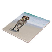 Duitse Kortharige Wijzer - Luke - Riley Tegeltje (Zijkant)