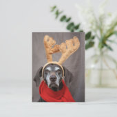 duitse kustrendier briefkaart (Staand voorkant)