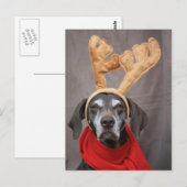 duitse kustrendier briefkaart (Voorkant / Achterkant)