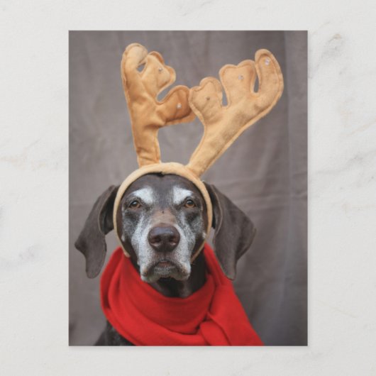 duitse kustrendier briefkaart (Voorkant)