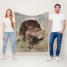 Duitse langharige aanwijzer