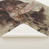 Duitse langharige aanwijzer sherpa deken (3/4)