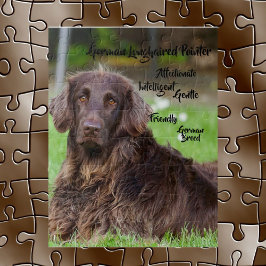 Duitse Langharige Pointer Legpuzzel
