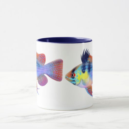 Duitse Mok Blauwe Ram Dwarf Cichlid (Midden)