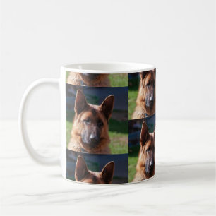 Duitse Mok Shepherd