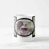 Duitse Mok Wirehaire Pointer Puppy dromer (Center)