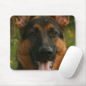 Duitse Muismat Shepherd (Met muis)