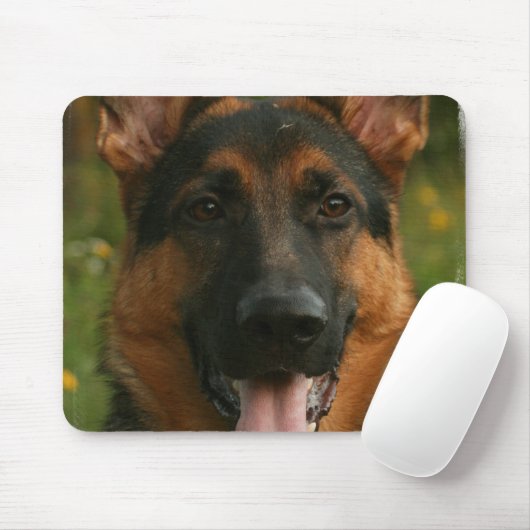 Duitse Muismat Shepherd (Met muis)