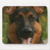 Duitse Muismat Shepherd (Voorkant)