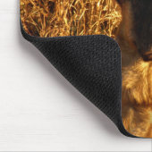 Duitse Muismat Shepherd (Hoek)