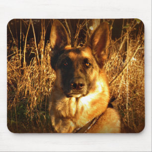 Duitse Muismat Shepherd