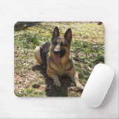 Duitse Muismat Shepherd (Met muis)