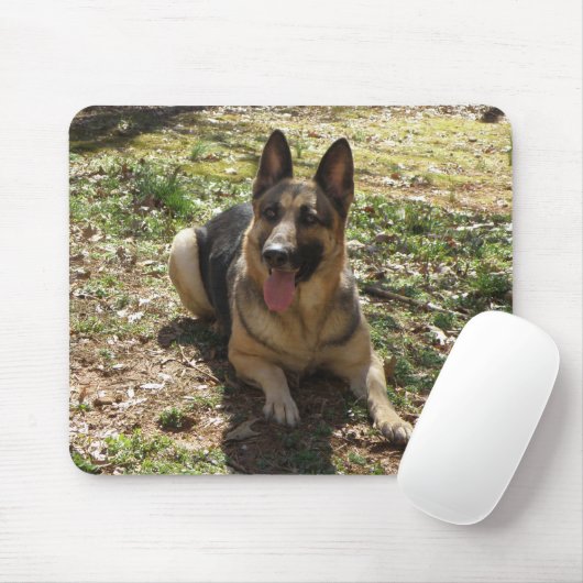 Duitse Muismat Shepherd (Met muis)