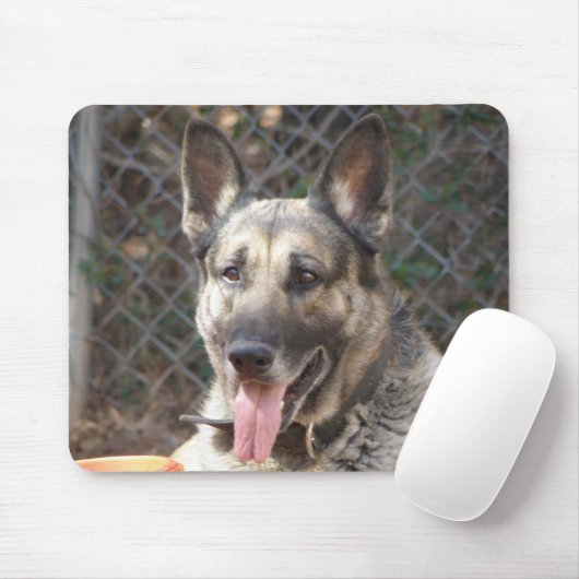 Duitse Muismat Shepherd (Met muis)