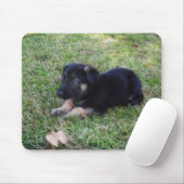 Duitse Muismat Shepherd Puppy (Met muis)