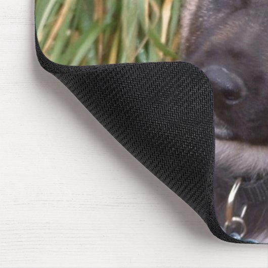 Duitse Muismat Shepherd Puppy (Hoek)