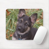 Duitse Muismat Shepherd Puppy (Met muis)