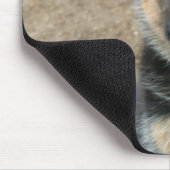 Duitse Muismat Shepherd Puppy (Hoek)